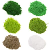 Eve Model - Static Grasses - 6 Assorted Colours (10g Each)