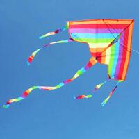 Hobby Works - Kite Rainbow Tail - 1.05m Single Line
