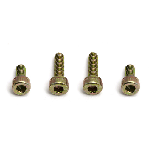 ###Motor Mounting Screw, 3 mm thread