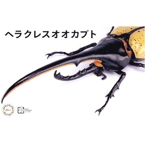 Fujimi - Biology Edition Dynastes Hercules [FI No.26] Plastic Model Kit