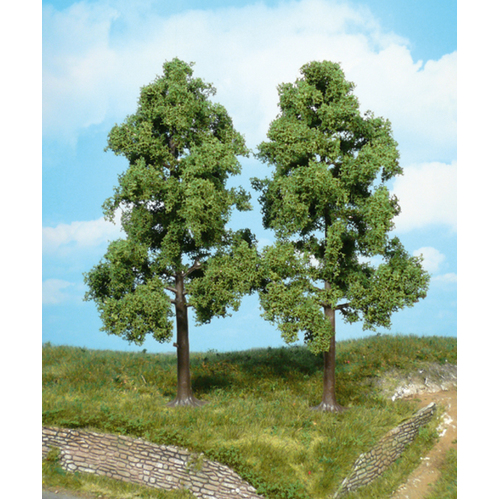 Heki - 2 Beech Trees 18cm