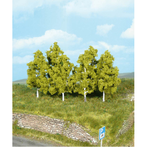 Heki - 6 Birch Trees 8cm