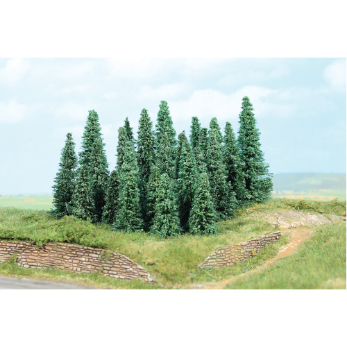 Heki - 20 Silver Pines (5-9cms)