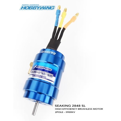 Seaking 2848SL 3900kv Brushless Motor