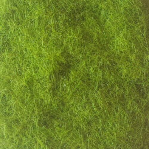 Ground Up Scenery - Static Grass Spring Green 3-5mm Ground Up Scenery 50G - GUS-SG50