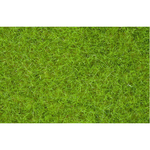 Noch - Wild Grass Light Green, 6mm, 100g