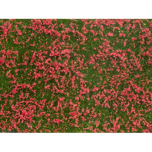 Noch - Groundcover Foliage (Meadow Red) - 7257
