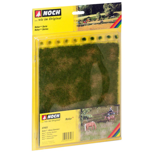 Noch - Natur+ “Summer Meadow” 