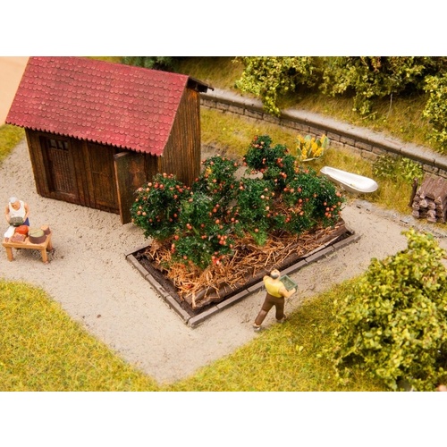 Noch - HO Tomato Plants 6 Plants 3 x 6cm