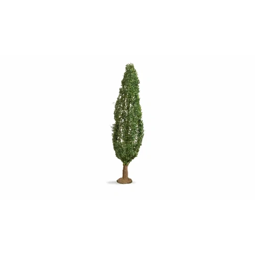 Noch - Poplar 18cm High