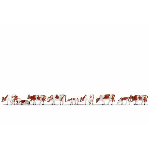 Noch - N Cows, Brown-White 