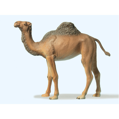 Preiser - 1:25 Camel - 47531